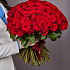101 красная премиальная роза - Фото 1