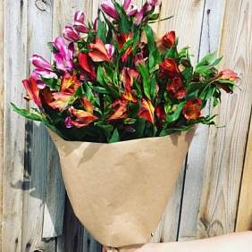 Букет Альстромерия микс №176