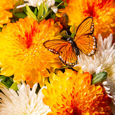 Букет цветов Санта роса - Фото 5