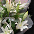 Букет цветов Королева Лилия - Фото 6
