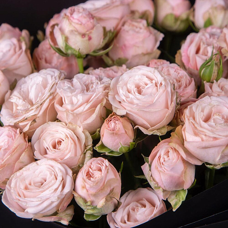 Букет из нежно-розовых пионовидных кустовых роз - Фото 3