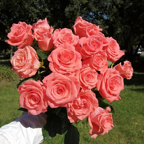 Букет цветов "Карина"