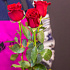 Букет цветов Эльбрус - Фото 2