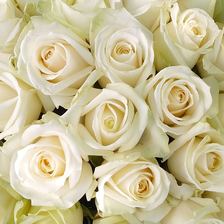 35 белых роз в чёрной шляпной коробке - Фото 4