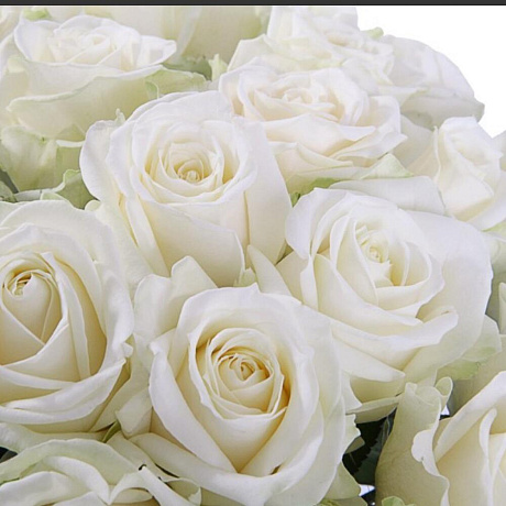 Букет 25 белых роз 60 см - Фото 3