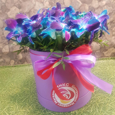 Орхидея синияя в коробке - Фото 3