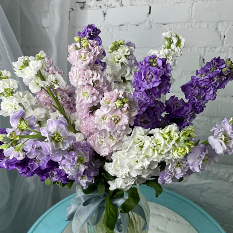 15 маттиол - Фото 4