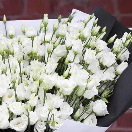 Эустома 35 - Фото 3