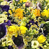 Букет цветов Весна №193 - Фото 5