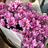 Яркие хризантемы №160 - Фото 5