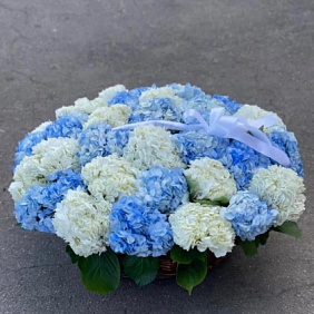 Букет цветов "Небо" №164
