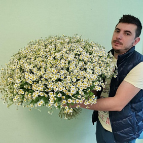 Букет из 101 кустовых ромашек