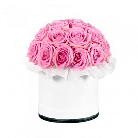 Букет из 19 розовых роз в малой шляпной коробке
