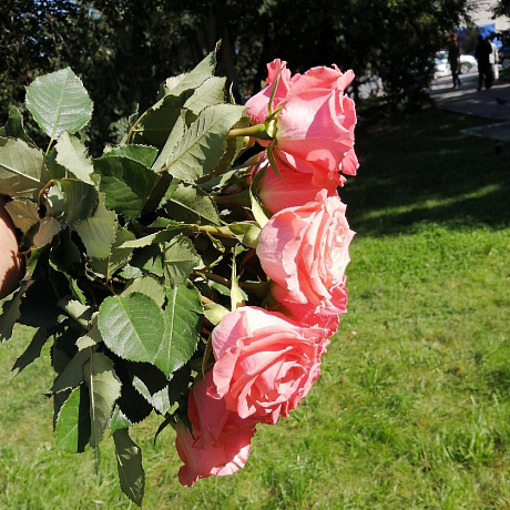 Букет цветов Карина - Фото 6