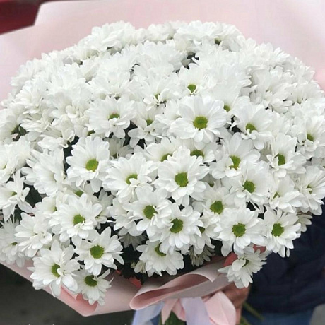 Букет цветов Просто ромашки - Фото 3