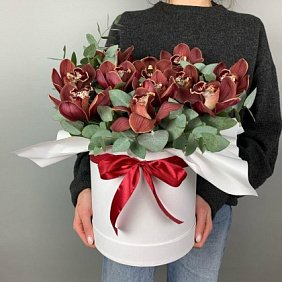 Коробка «Стильная Орхидея XL»