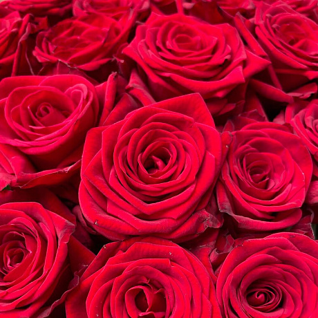 Розы красные 70 см - Фото 6