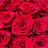 Розы красные 70 см - Фото 6