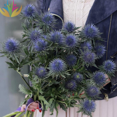 Букет Прекрасный Эрингиум - Фото 3