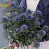 Букет Прекрасный Эрингиум - Фото 3
