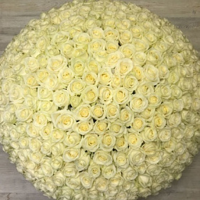 Корзина из 301 розы №162