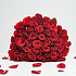 Букет из 51 красных роз (40см) - Фото 1