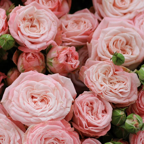 Букет цветов Бомбастики 19 - Фото 6