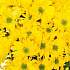 Хризантема кустовая жёлтая 1ветка - Фото 4
