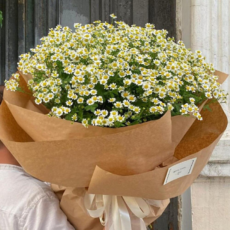 Букет из мелких ромашек - Фото 2