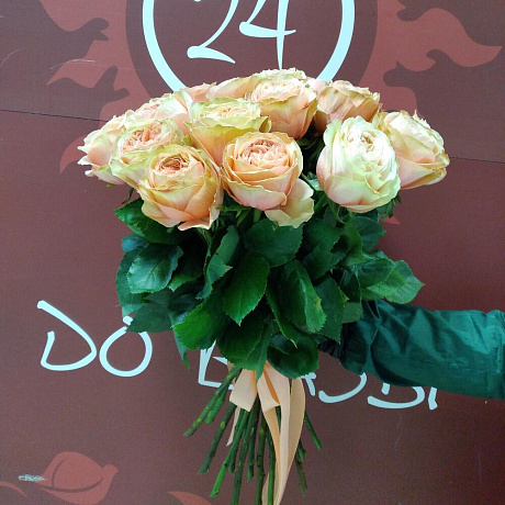 Розы кахала - Фото 4