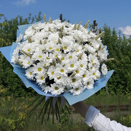 Большой букет из хризантем Ромашковое облако - Фото 5