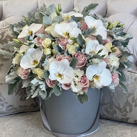 Цветы в коробке Luxury Flowers Жемчужная орхидея