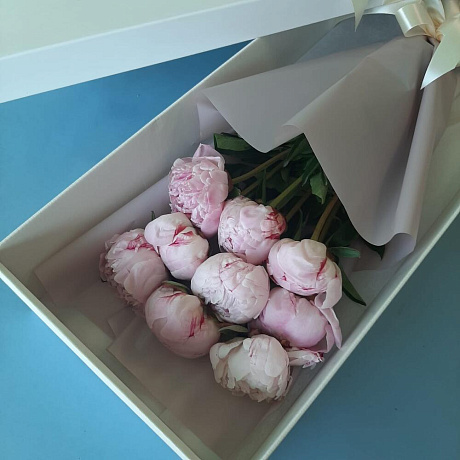 9 розовых пионов в подарочной коробке - Фото 3