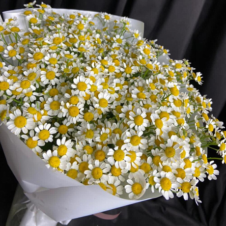 Букет Танацетума №161 - Фото 3