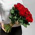 Монобукет 51 роза - Фото 2