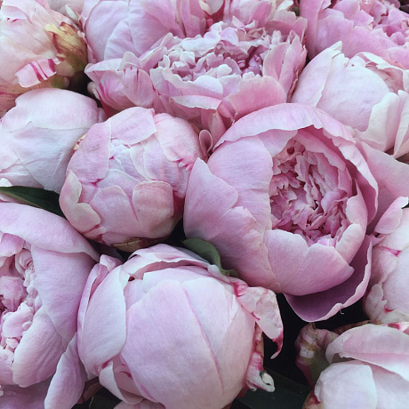 Букет цветов Элегантный - Фото 3