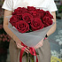 11 роз Эксплорер - Фото 2