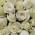 21 белая Роза премиум (ваза в подарок. См.условия акции в описании) - Фото 4