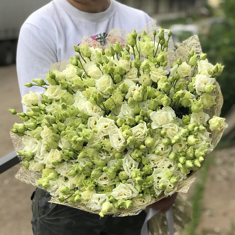 Эустома. Букет из 51 белой эустомы. N481 - Фото 4