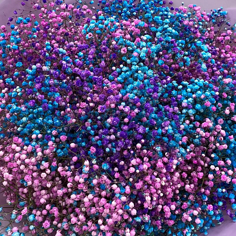 Гифсофила из трёх сортов - Фото 4