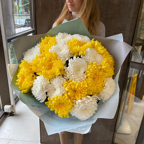 Крымская Хризантема 21 шт - Фото 2