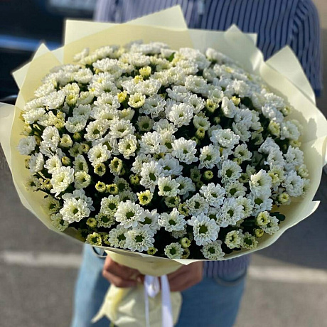 Сантини №160 - Фото 6