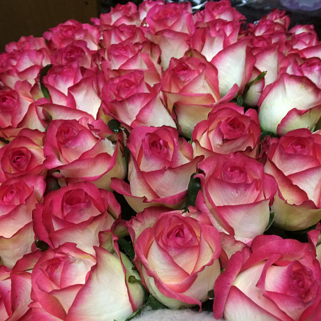 Букет «Джамила 51» - Фото 2