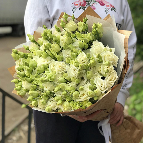 Эустома. Букет из 29 белой эустомы. N480 - Фото 4