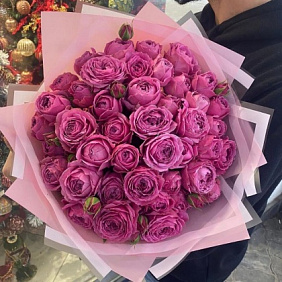 Кустовые пионовидные розы №179