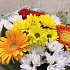 Букет цветов Солнышко мое №2 - Фото 2