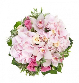Розовая гортензия и орхидеи в коробке