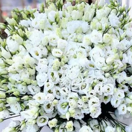 Букет из 101 белой эустомы - Фото 3