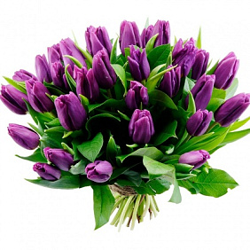 Букет фиолетовых тюльпанов "Бизнес встреча"