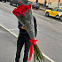 Высокие розы - Фото 1